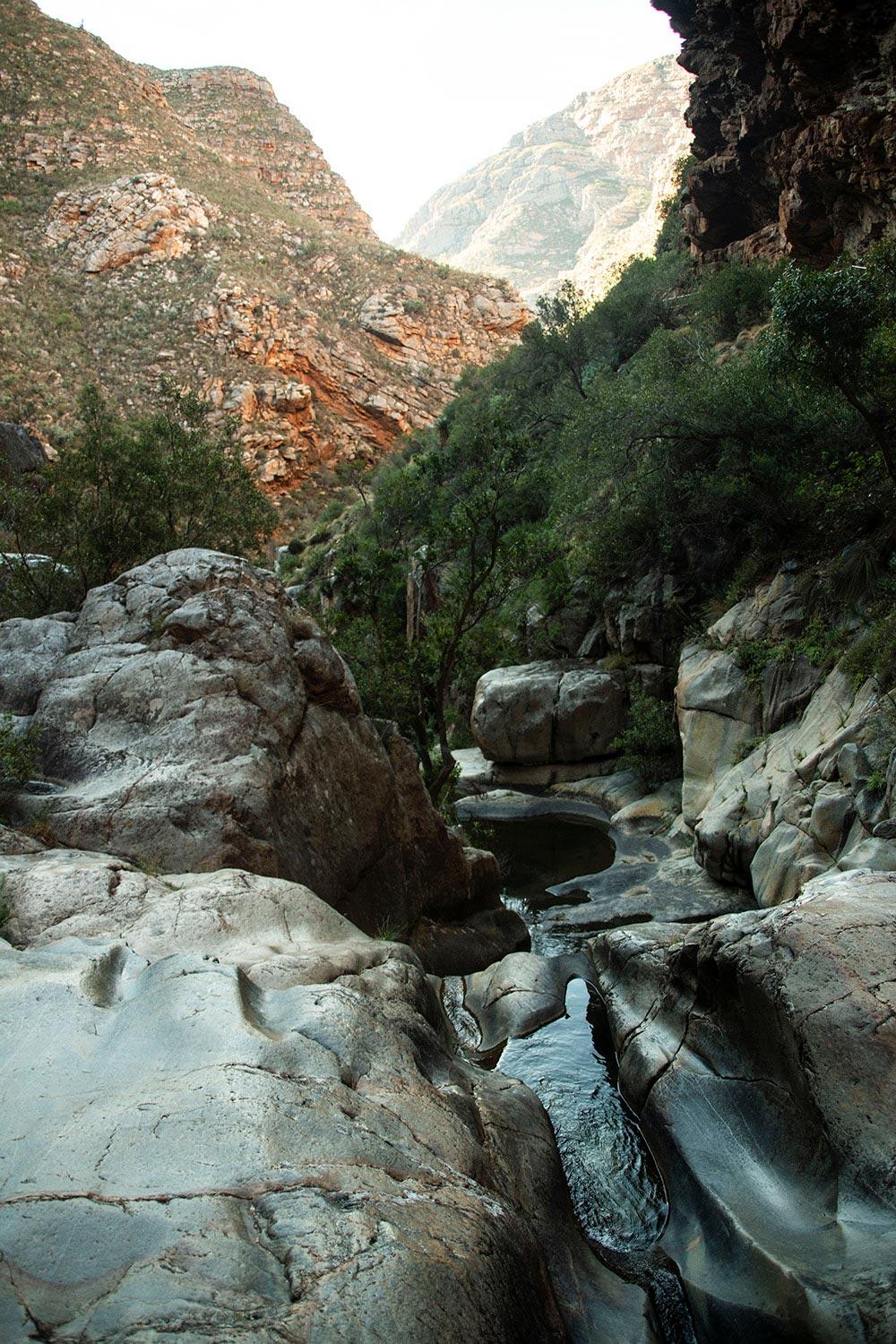 The Karoo - South Africa