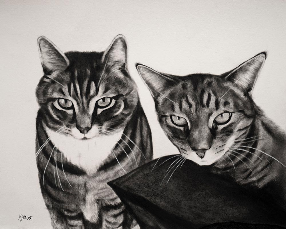Cats - Charcoal Portrait