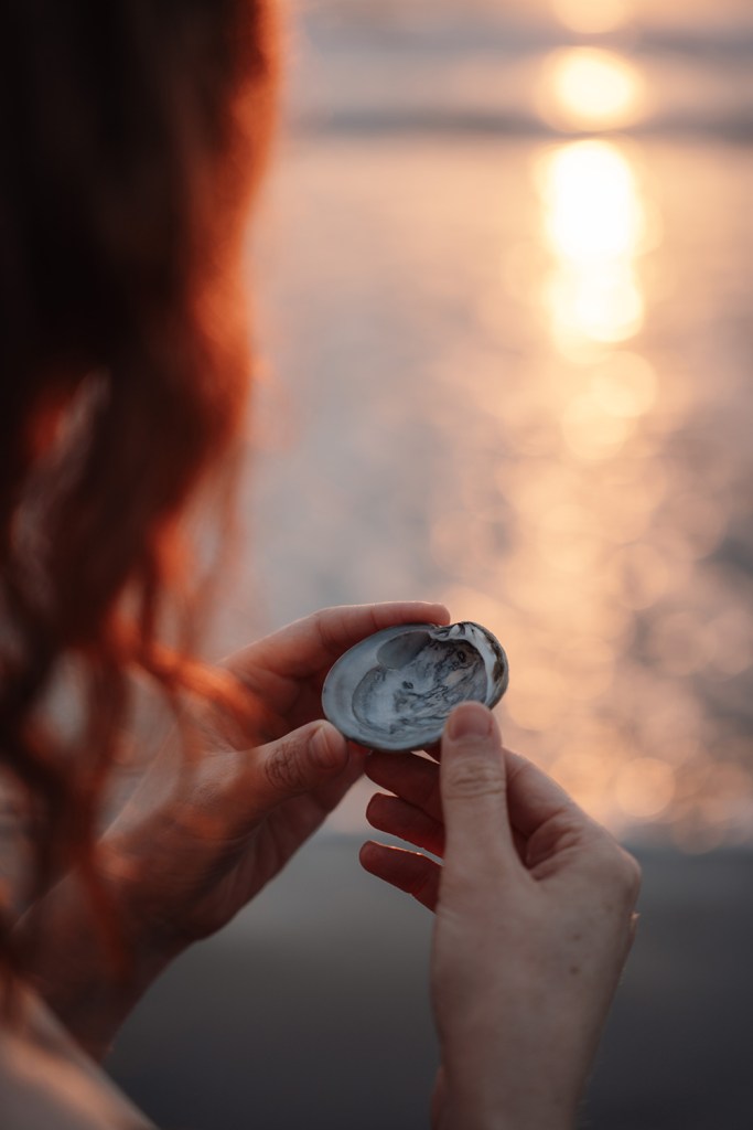 Holding shell at beach at sunrise