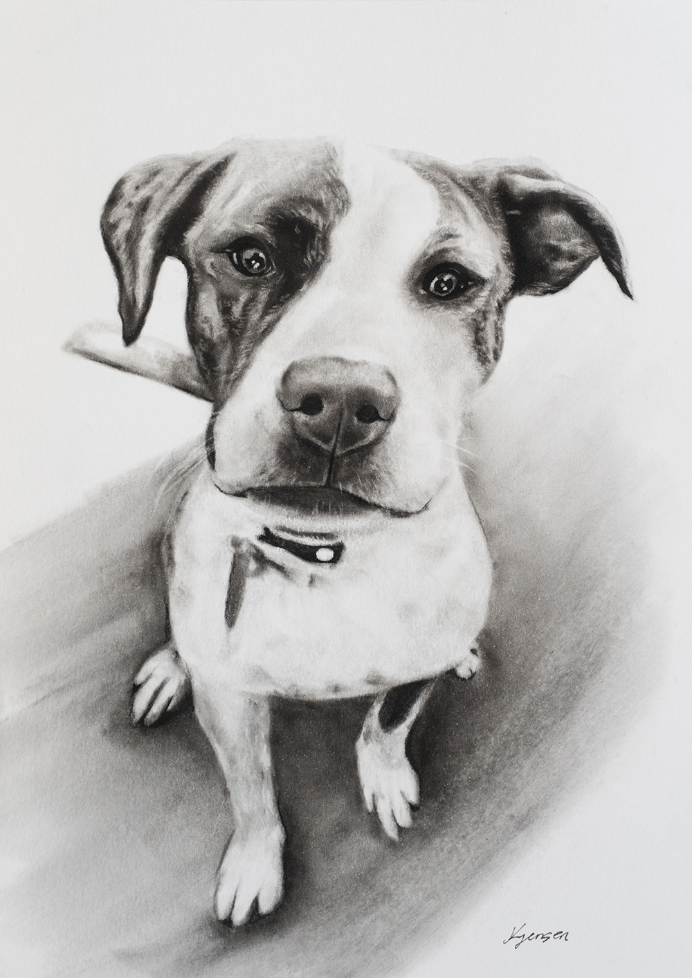 Dog - Charcoal Portrait