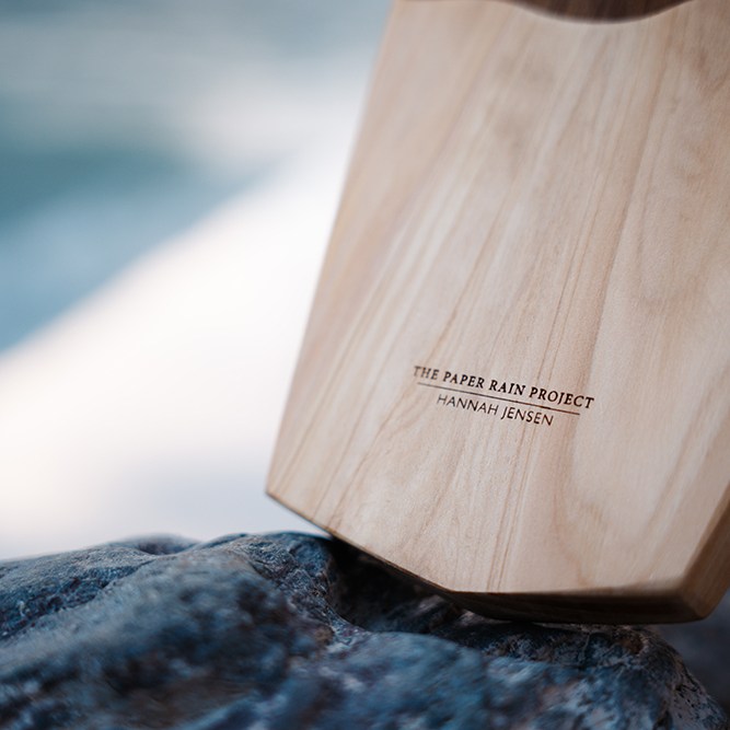 Paper Rain Tui art board at Hooker Lake NZ